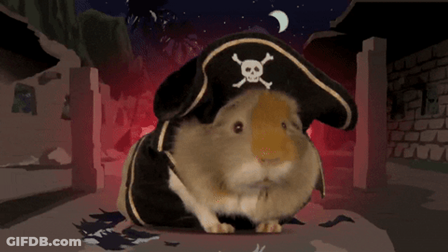 Pirate Hamster Arrrggh GIF