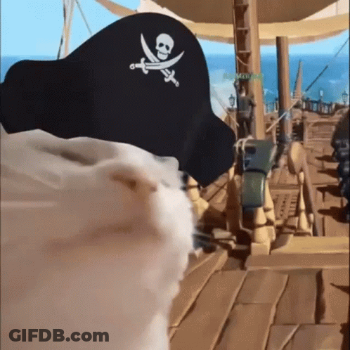 Pirate Hat With Skull And Crossbones GIF