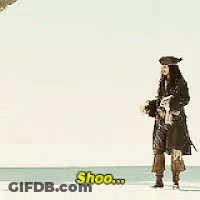 Pirate Man Standing On Beach GIF