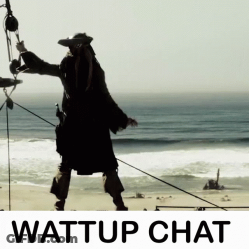 Pirate On Beach Saying Wattup Chat GIF