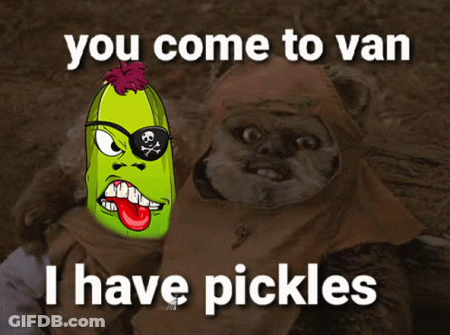 Pirate Pickle You Come To Van I Have Pickles GIF