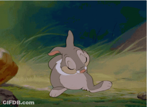Pirate Saying Arr Ye Having A Good Day GIF