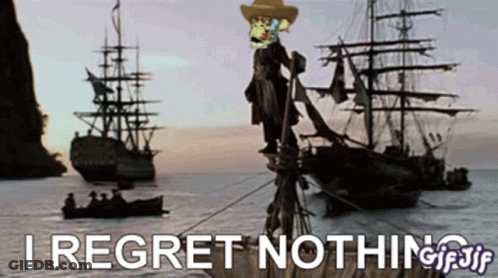 Pirate Ship I Regret Nothing GIF