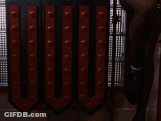 Pirate Smiling Saying Looooot GIF