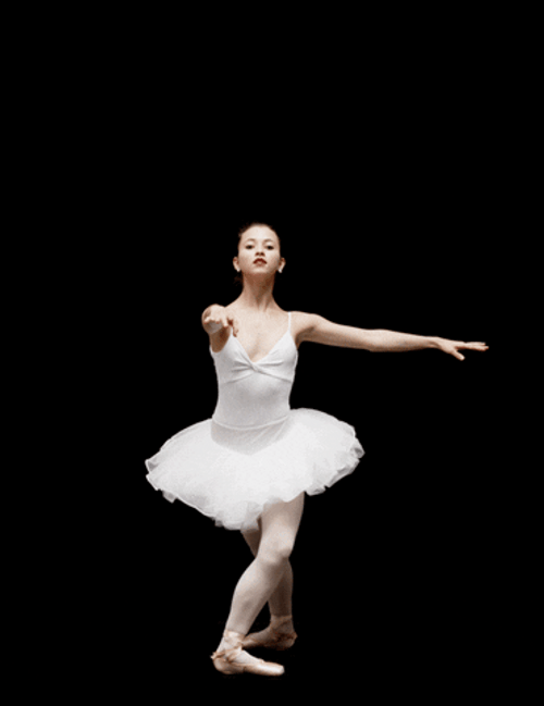 Pirouette Ballet Ballerina Spin GIF