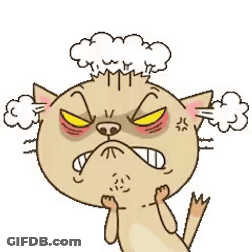 Pissed Off Cat GIF