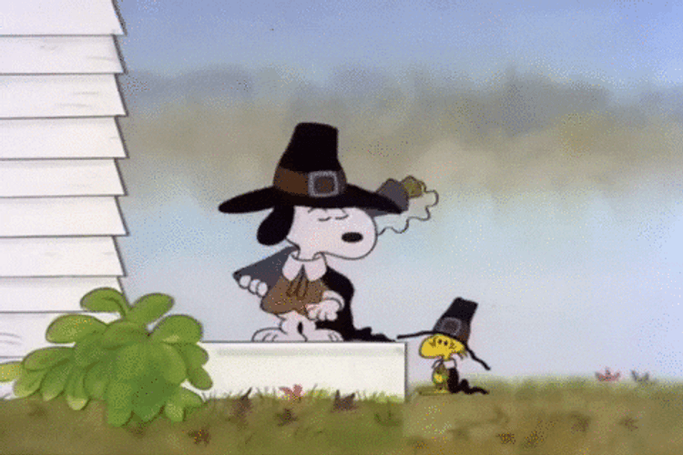Pissed Off Peanuts Snoopy Thanksgiving GIF