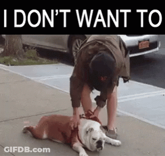 Pit Bull I Dont Wanna GIF