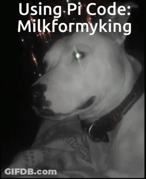 Pitbull Milk For My King GIF