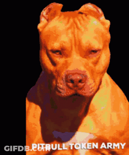 Pitbull Token Army GIF