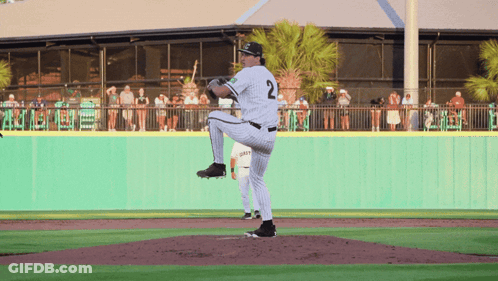 Pitcher With Number 2 Jersey About To Throw GIF