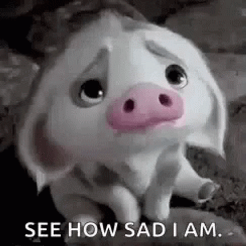 Pitiful Cow See How Sad I Am GIF