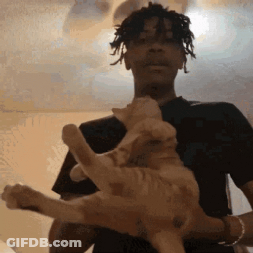 Pittanko Kankan GIF