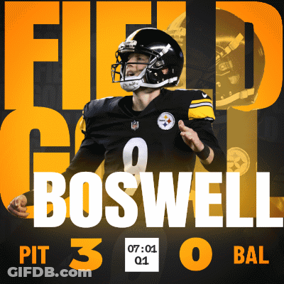 Pittsburgh Steelers Boswell Football Poster GIF