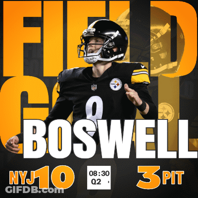 Pittsburgh Steelers Football Poster GIF