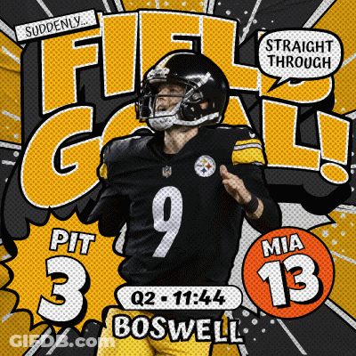 Pittsburgh Steelers Football Poster GIF