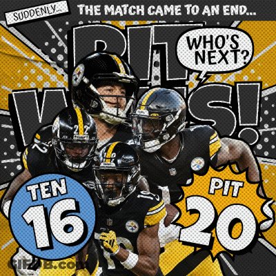 Pittsburgh Steelers Game Came To An End GIF