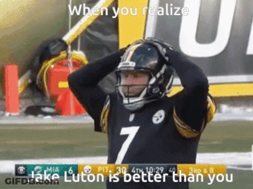 Pittsburgh Steelers Mascot On Field GIF