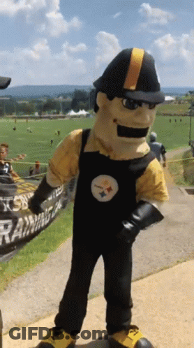 Pittsburgh Steelers Mascot On Field GIF