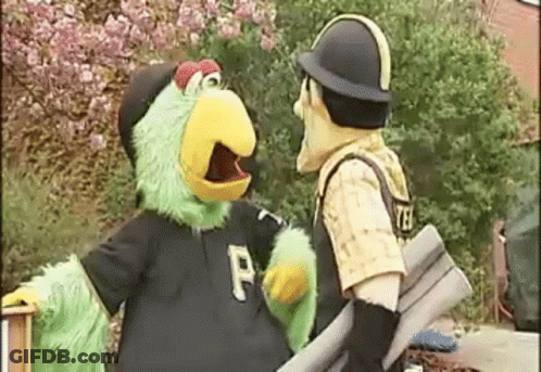 Pittsburgh Steelers Pittsburgh Pirates GIF