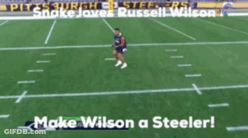 Pittsburgh Steelers Snake Loves Russell Wilson On The Field GIF