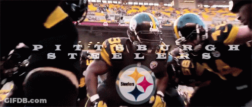 Pittsburgh Steelers Steelers GIF
