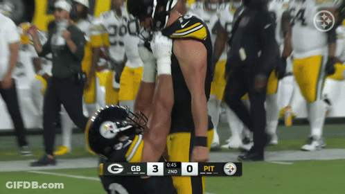 Pittsburgh Vs Georgia Football Game GIF
