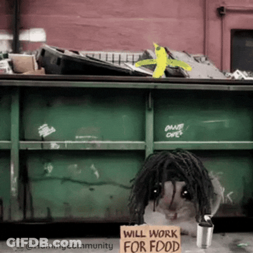 Pity Sad Hamster GIF