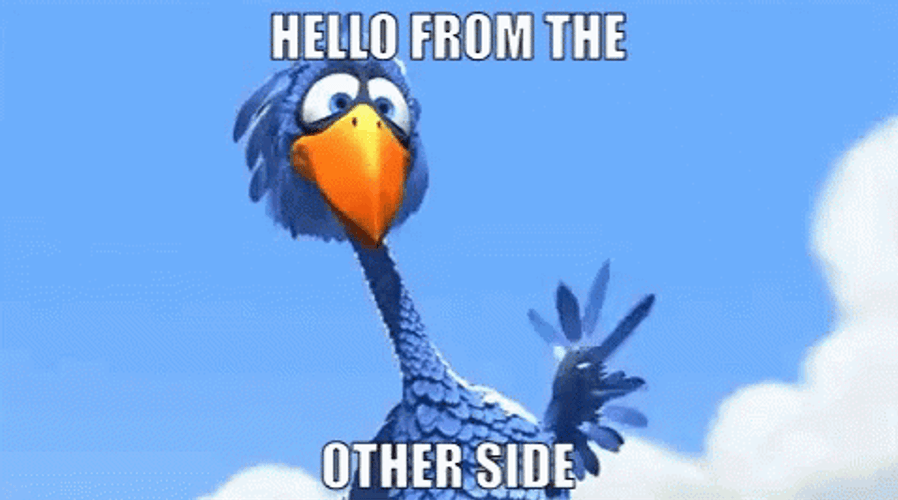 Pixar For The Birds Waving Hello Meme GIF