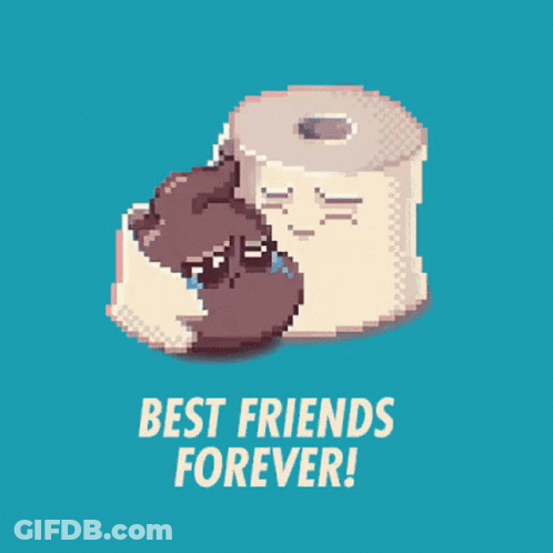 Pixel Art Cat And Toilet Paper Best Friends Forever GIF