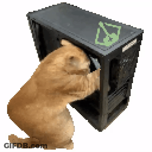 Pixel Art Cat Playing With Computer GIF