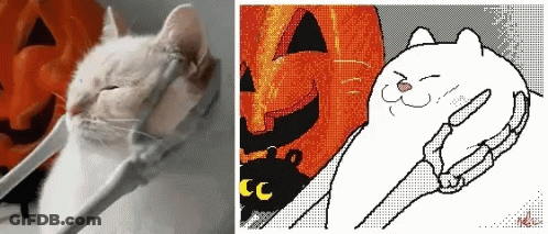 Pixel Art Cat Pumpkin With Letter CC GIF