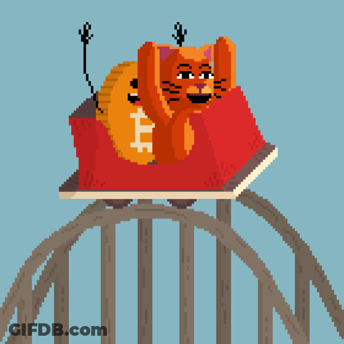 Pixel Art Cat Riding Roller Coaster GIF