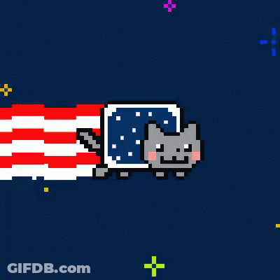 Pixel Art Cat With American Flag Background GIF