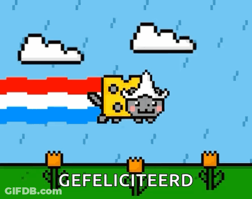 Pixel Art Cat With Cheese On Head Gefeliciteerd GIF