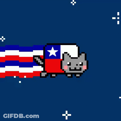 Pixel Art Cat With Red White And Blue Flag GIF