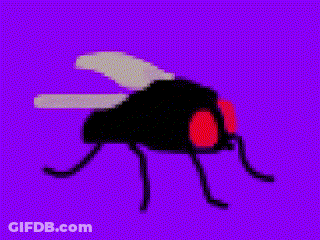 Pixel Art Fly With Red Eyes On Purple Background GIF