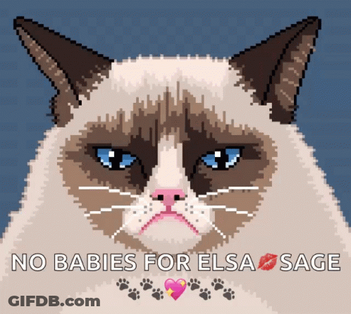 Pixel Art Grumpy Cat No Babies For Elsa Sage GIF