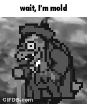Pixel Art Monster Saying Wait I'm Mold GIF