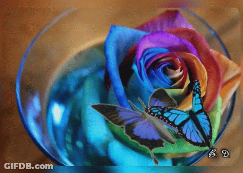Pixel Art Optical Illusion Rainbow Swirl GIF