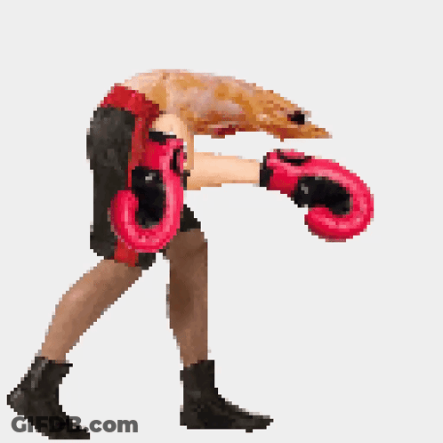Pixel Art Person With Boxing Gloves GIF