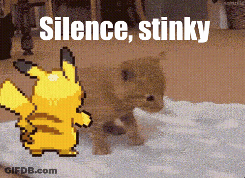 Pixel Art Pikachu And Kitten Silence Stinky GIF