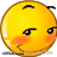 Pixel Art Smiley Face Saying Me Too Miss You Too GIF