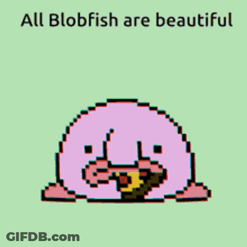 Pixel Beautiful Blobfish Funny Cool Rainbow GIF