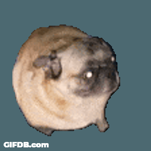 Pixel Cute Dog Dancing GIF