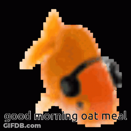 Pixelated Cat Saying Good Morning Oat Meal GIF