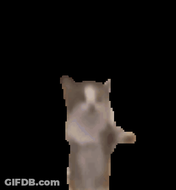 Pixelated Cat With Arms Outstretched GIF