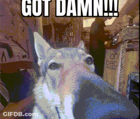 Pixelated Dog Saying Got Damn GIF