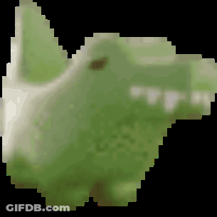 Pixelated Frog Head GIF