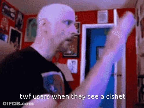 Pixelated Man With Caption Twf Users When They See A Cishe GIF
